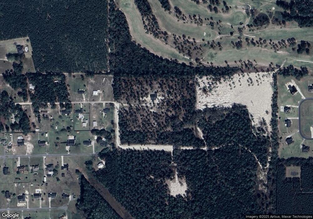 3890 Aspinwall Ln, Blackshear, GA 31516 - photo 1