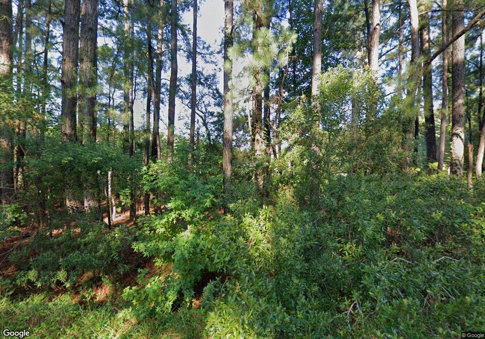 4800 Causey Pond Rd, Awendaw, SC 29429 - photo 1