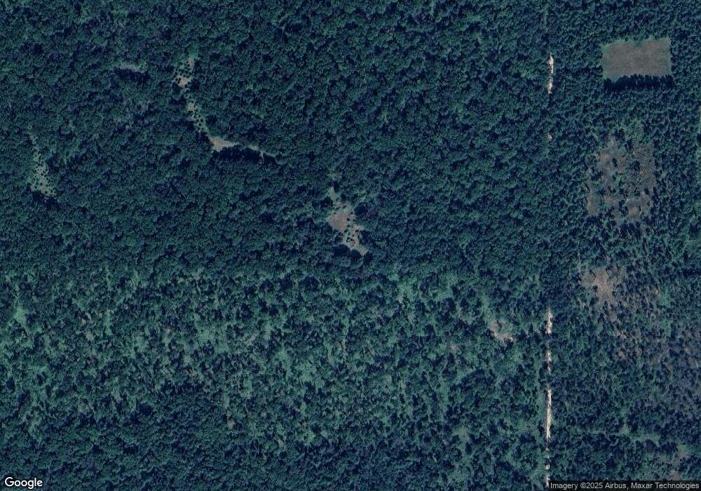 9005 N Centerline Rd, Brohman, MI 49312 - photo 1