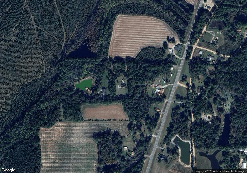 9251 Us Highway 221 N, West Green, GA 31567 - photo 1