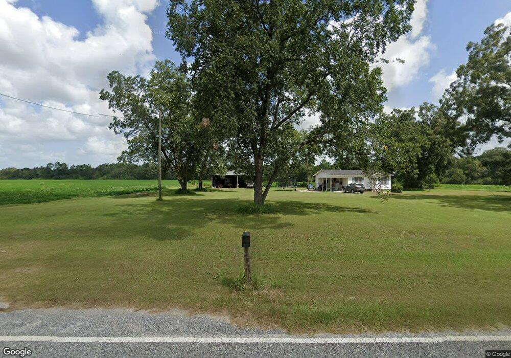 2585 Pat Lewis Rd, Baxley, GA 31513 - photo 1