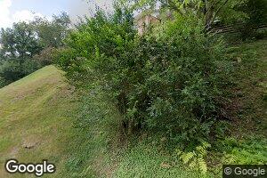 125 Persimmon Hollow Rd, Stollings, WV 25646