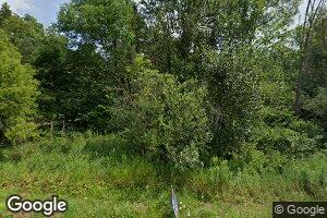 7694 S Hawkins Rd, Chase, MI 49623