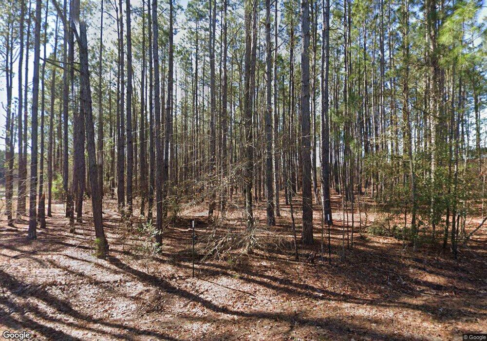 1011 Arthur Graham Rd, East Dublin, GA 31027 - photo 1