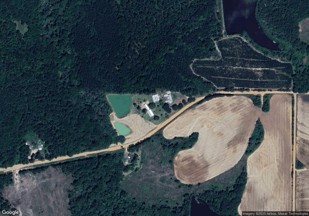 213 Hancock Rd, Doerun, GA 31744 - photo 1