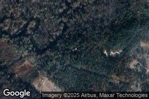 5217 Blackie Ln, Carrsville, VA 23898