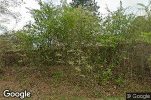 244 Old Knight Rd, Remlap, AL 35133
