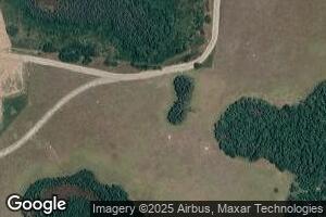 Boca, Land O Lakes, FL 34638