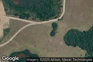 Arlington, Land O Lakes, FL 34638