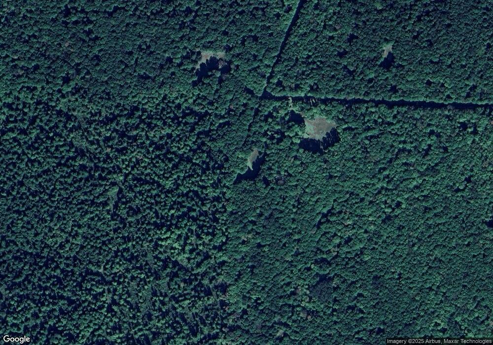 1039 Sugar Maple Trail, Vanderbilt, MI 49795 - photo 1