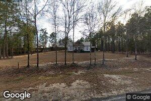 950 Springhill Rd, Alamo, GA 30411