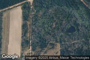 184 Raccoon Rd, Alma, GA 31510