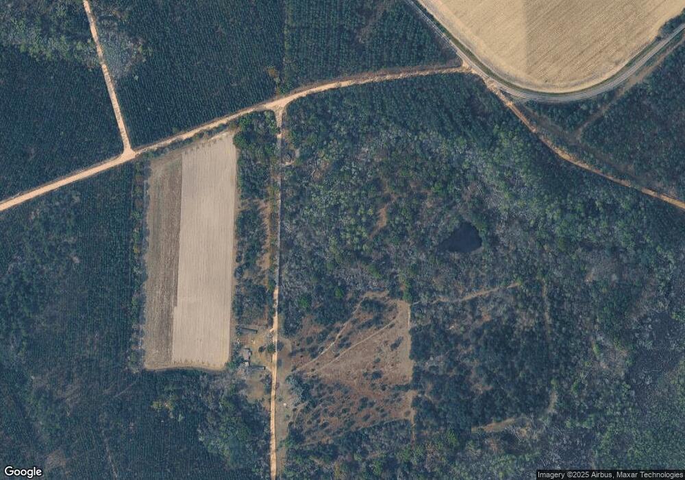 184 Raccoon Rd, Alma, GA 31510 - photo 1