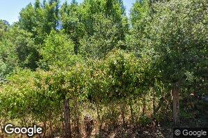 9 Alamo Way, Lagunitas, CA 94938