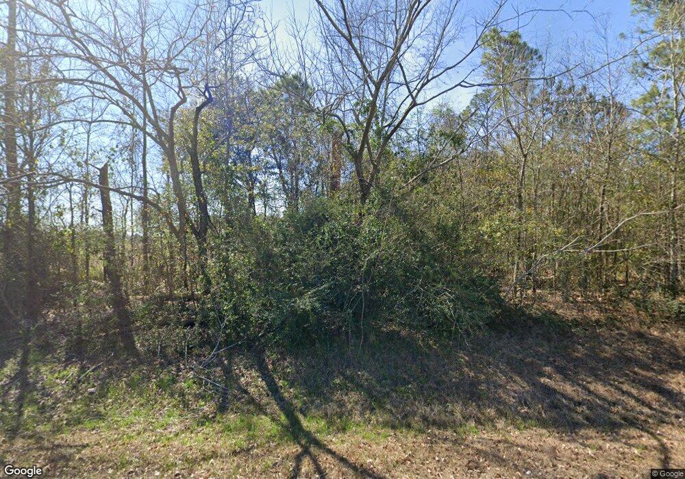 341 Kierce Rd, Pelham, GA 31779 - photo 1