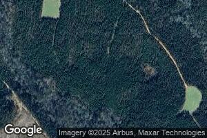 17476 Walker Springs Rd, Gainestown, AL 36540