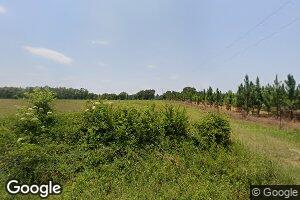 725 S Union Church Rd, Alamo, GA 30411