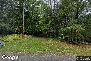 286 Buck Hill Rd, Millerton, PA 16936