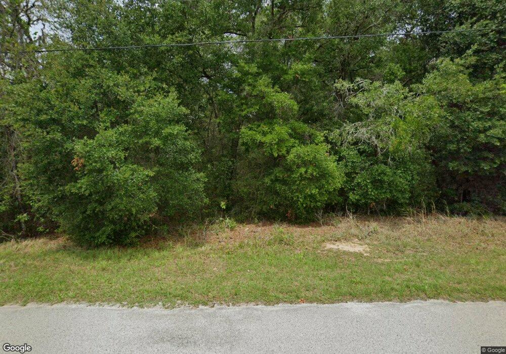 2424 N Trucks Ave, Hernando, FL 34442 - photo 1