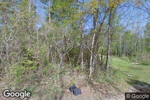 690 Pleasant Chapel Church Rd, Silas, AL 36919