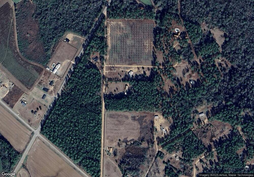 1062 Banks Rd, Pelham, GA 31779 - photo 1