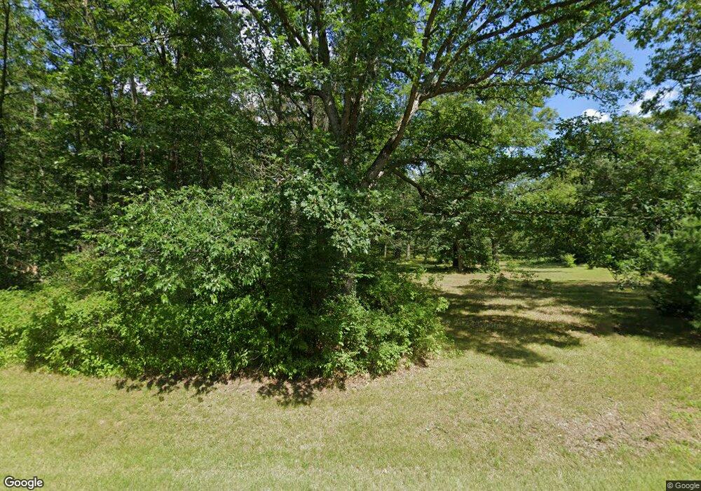 11724 N Bingham Ave, Bitely, MI 49309 - photo 1