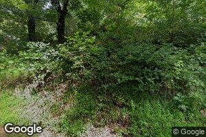 6459 Belcher Mountain Rd, Woolwine, VA 24185