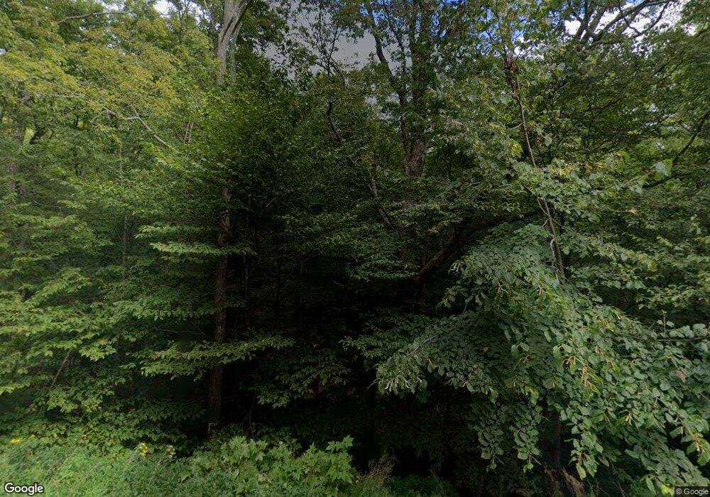 1025 Pawlet Mountain Rd, Pawlet, VT 05761 - photo 1