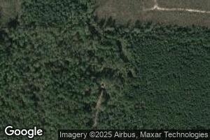 81 Dallas 315, Carthage, AR 71725