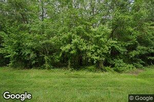 1351 Saulsbury Rd, Walnut, MS 38683