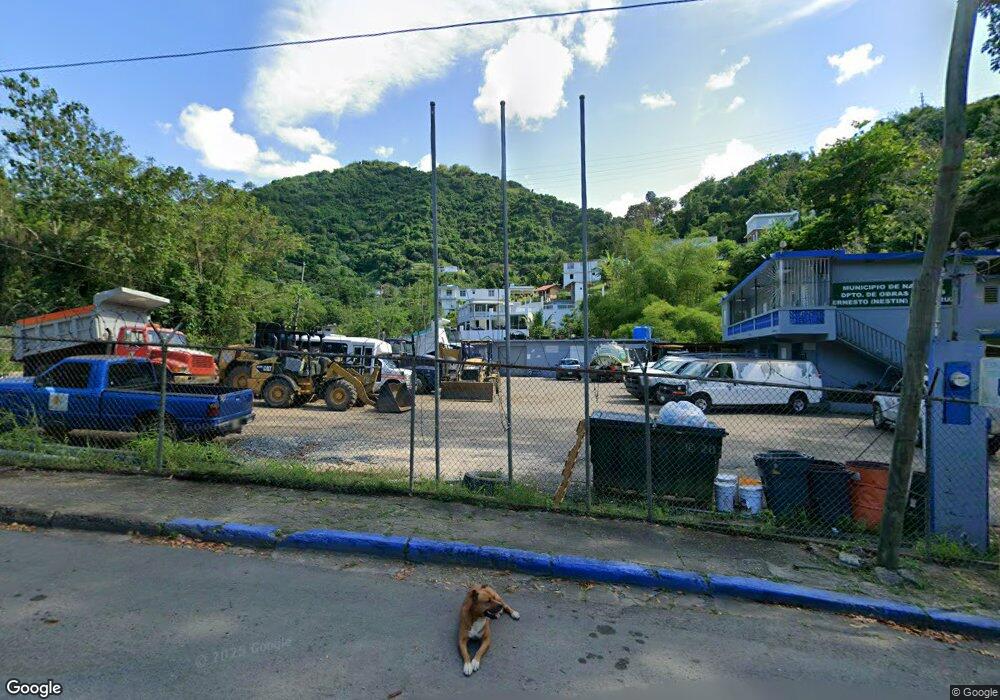 Carr 164 Sec Obras Públicas Naranjito Pr 00719 unit Solar 1, Naranjito, PR 00719 - photo 1
