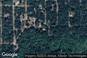 423 W Riverview Ave, Idlewild, MI 49642