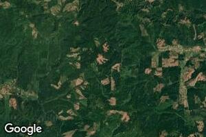 2997 Brooklyn Rd, Cosmopolis, WA 98537