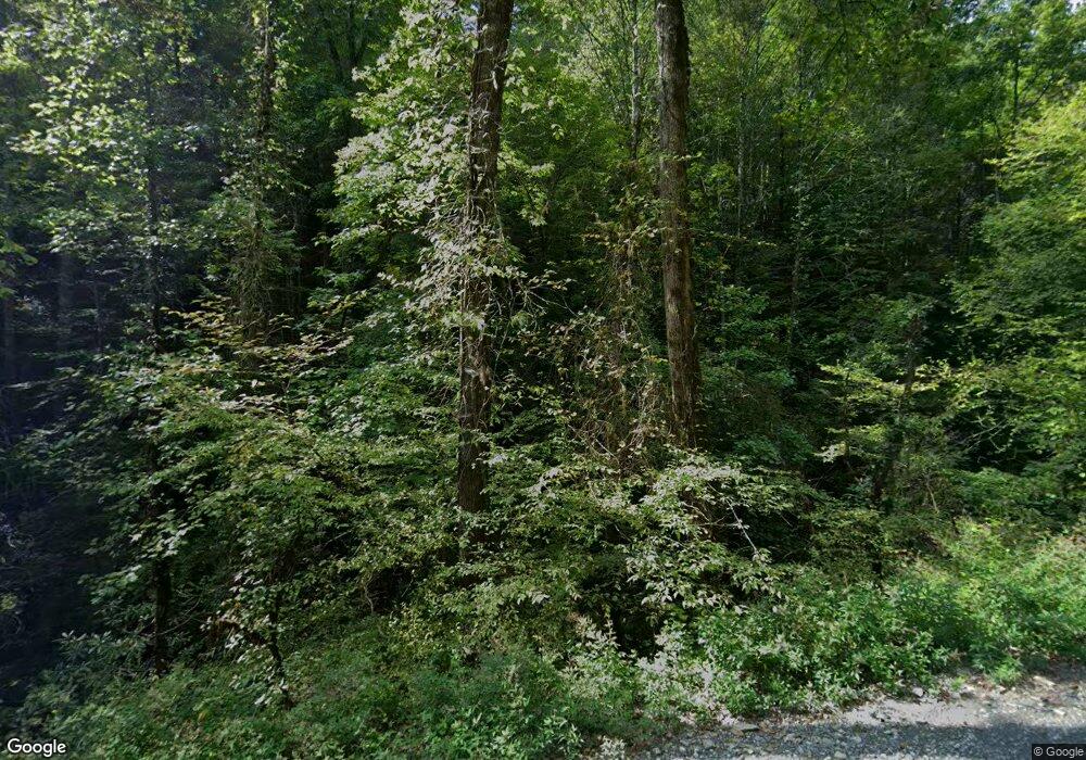 10101 Old Ccc Camp Rd, Ellijay, GA 30540 - photo 1