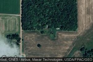 N16378 River Ave, Withee, WI 54498