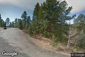 13415 S Cheyenne Ct, Pine, CO 80470