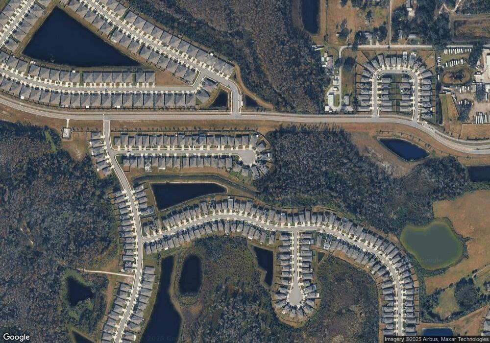 18392 Falling Pine Needle Ln, Land O Lakes, FL 34638 - photo 1