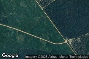 156 Little River 316, Foreman, AR 71836