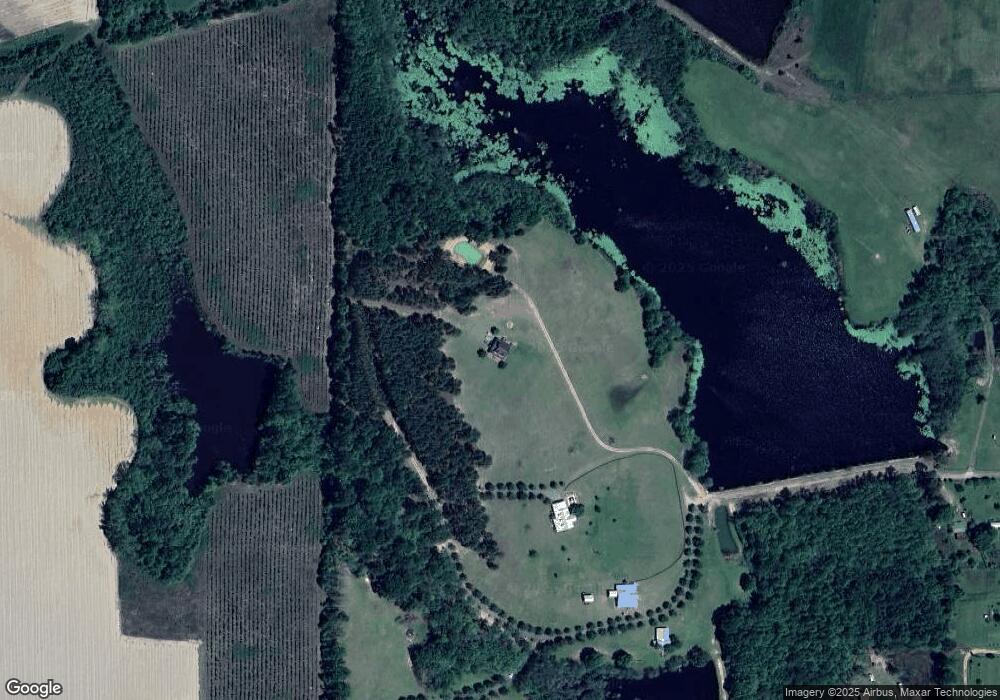 217 Dove Point Ln, Wray, GA 31798 - photo 1