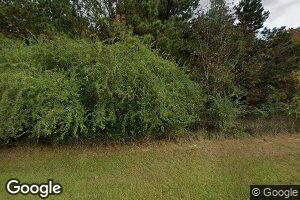 437 Twin Lakes Rd, Mansfield, LA 71052