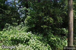 61 I U Willets Rd, Old Westbury, NY 11568