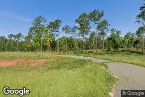 190 Mount Hebron Rd, Coleman, GA 39836