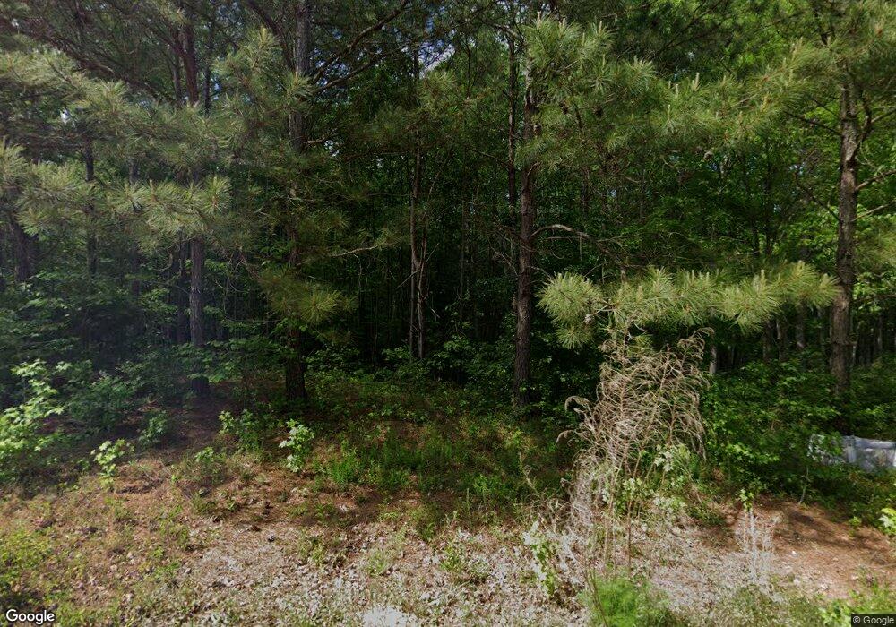 429 & 433 Misty Brook Ct, Hampton, GA 30228 - photo 1