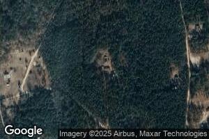 22011 Old Gum Tree Rd, Zuni, VA 23898