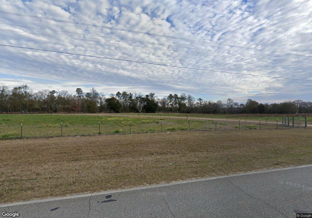 3409 Lake Douglas Rd, Climax, GA 39834 - photo 1