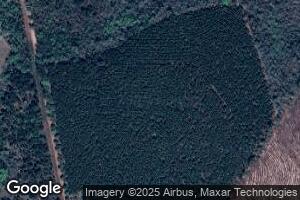 2565 Mclendon Rd, Ailey, GA 30410