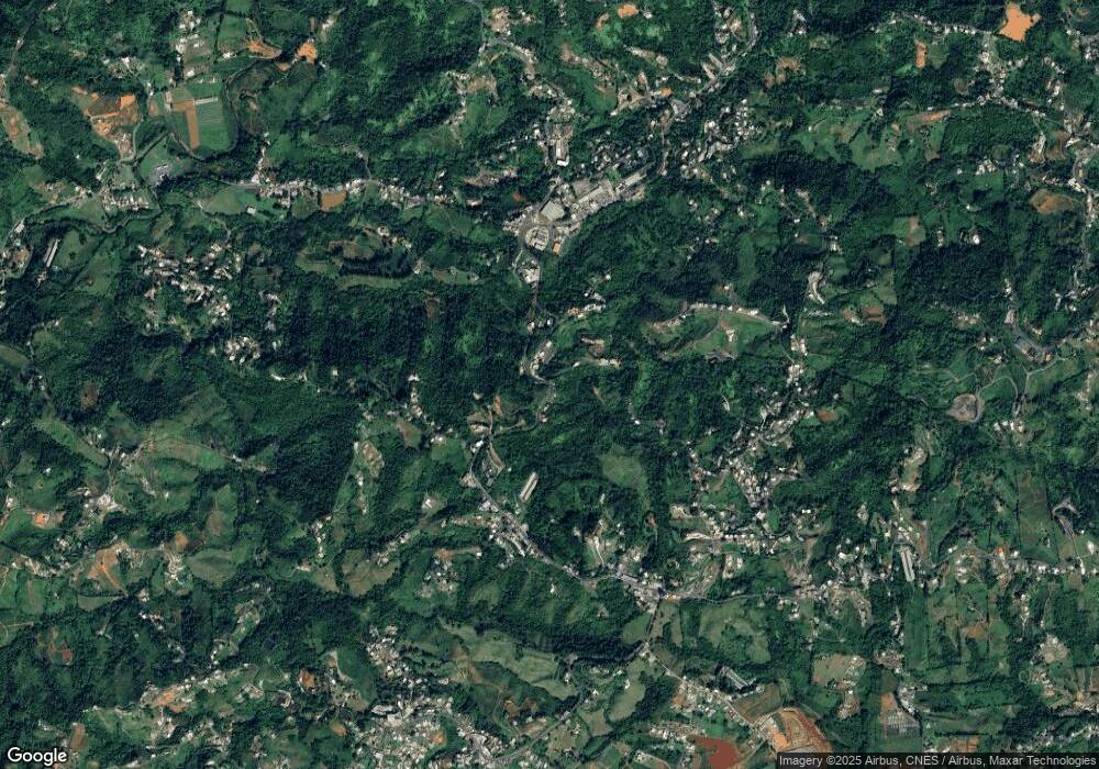 170 Carr 152, Naranjito, PR 00719 - photo 1