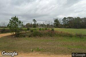 13915 Oak Grove Rd, Dozier, AL 36028