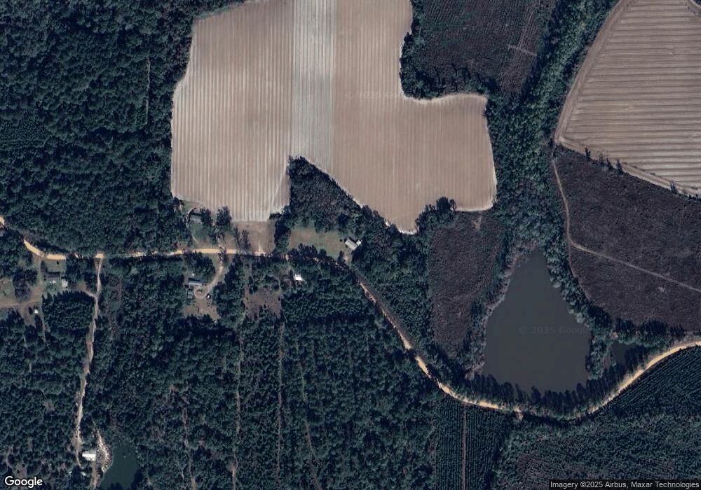 896 Joe Ellis Rd, Broxton, GA 31519 - photo 1