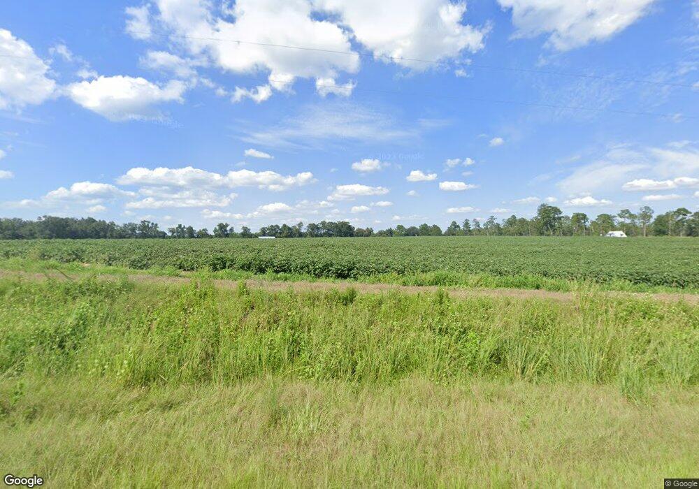 595 Lake Douglas Rd, Whigham, GA 39897 - photo 1